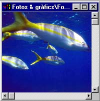 Fotograf�a original