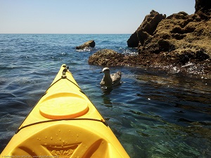 Maro Kayak Nerja - rutas en piragua y tabla-SUP por los acantilados de Maro