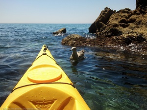 Kayak Nerja - rutas en piragua por los acantilados de Nerja y Maro