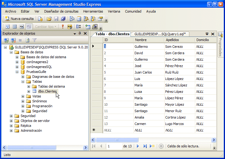 Figura 7. Los datos que acabamos de aadir a la tabla de Clientes