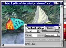Despu�s de coloreada...