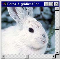 Fotograf�a original